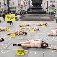 Prosvjedi za prava životinja