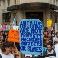 Prosvjedi za prava životinja