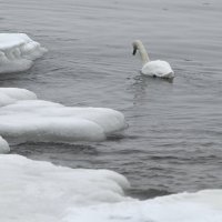 Ekstremne hladnoće u Finskoj