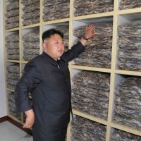 Kim Jong Un