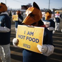 Prosvjedi protiv konzumacije psećeg mesa