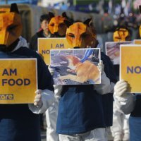 Prosvjedi protiv konzumacije psećeg mesa