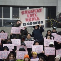 Prosvjedi protiv konzumacije psećeg mesa