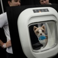 CES 2024.
