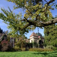 Dvorac Opeka kod Vinice