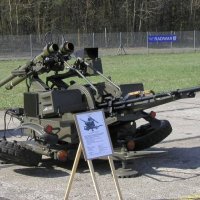 Poljaci su napravili i inačicu koja ispaljuje projektile tipa Grom