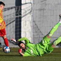 Nogomet: Dinamo - Makedonija GP 4:1