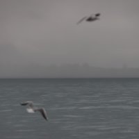 Kišno jutro u Kaštel Štafiliću