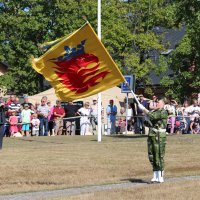 Pukovnijska zastava na jednoj od smotri