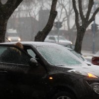Gust snijeg i jaka bura na širem rječkom području