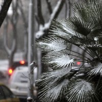 Gust snijeg i jaka bura na širem rječkom području