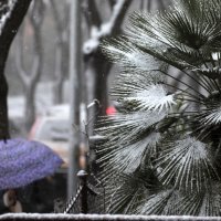 Gust snijeg i jaka bura na širem rječkom području