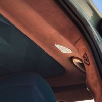 BMW odabrao alcantaru