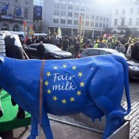 Prosvjedi farmera u Bruxellesu