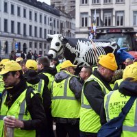 Prosvjedi farmera u Bruxellesu