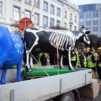 Prosvjedi farmera u Bruxellesu