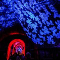 Noć muzeja u Dioklecijanovoj palači