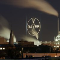 Bayer