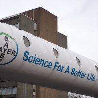 Bayer