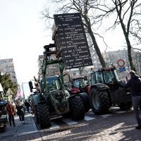 Prosvjedi poljoprivrednika ispred EU parlamenta