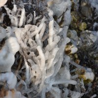 Zaleđeno more u uvali Šćuza u Banjolama