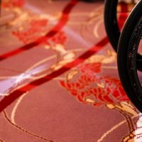 Proglašenje najuspješnijih parasportaša za 2023. godinu