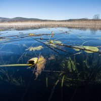 Park prirode Hutovo blato