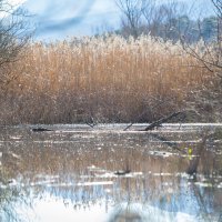 Park prirode Hutovo blato