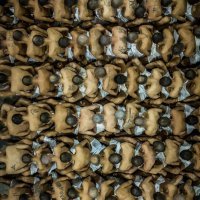 Salvadorski mega zatvor