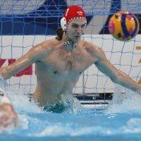 Francuska - Mađarska, SP vaterpolo, četvrtfinale, 13.2.204.