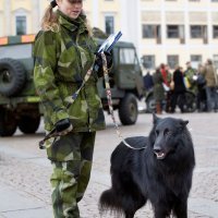 Švedska vojna domobranska pričuva rezervisti