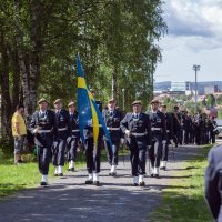 Švedska vojna domobranska pričuva rezervisti