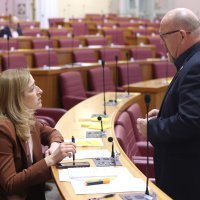 Mirela Ahmetović, Davor Dretar