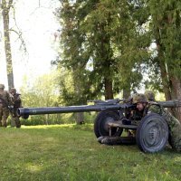 Pripadnici estonske Obrambene garde na vježbi