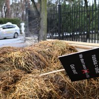 Gnoj ispred kuće ruskog veleposlanika u Poljskoj