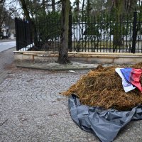 Gnoj ispred kuće ruskog veleposlanika u Poljskoj