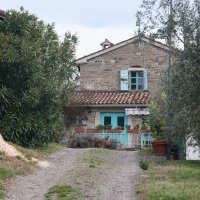 Nasadi cvijeća Hrvoja Vojkovića kod Motovuna