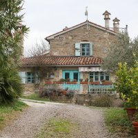 Nasadi cvijeća Hrvoja Vojkovića kod Motovuna