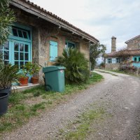 Nasadi cvijeća Hrvoja Vojkovića kod Motovuna