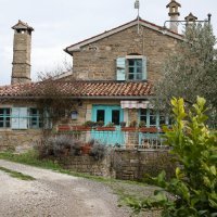 Nasadi cvijeća Hrvoja Vojkovića kod Motovuna