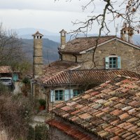 Nasadi cvijeća Hrvoja Vojkovića kod Motovuna