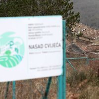 Oprtalj: Parcela u vlasništvu Hrvoja Vojkovića na kojoj je trebao zasaditi tulipane