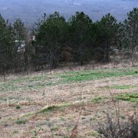 Oprtalj: Parcela u vlasništvu Hrvoja Vojkovića na kojoj je trebao zasaditi tulipane