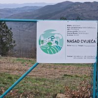 Oprtalj: Parcela u vlasništvu Hrvoja Vojkovića na kojoj je trebao zasaditi tulipane