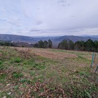 Oprtalj: Parcela u vlasništvu Hrvoja Vojkovića na kojoj je trebao zasaditi tulipane