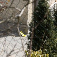 Mladić nožem ubio oca na Črnomercu