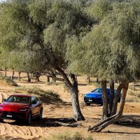 #SHEdrivesalambo i super SUV Lamborghini Urus S