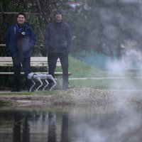 Robotski pas u Velikoj Gorici