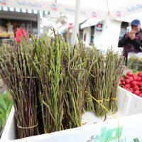 Prve ovogodišnje šparoge u Rijeci