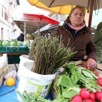 Prve ovogodišnje šparoge u Rijeci